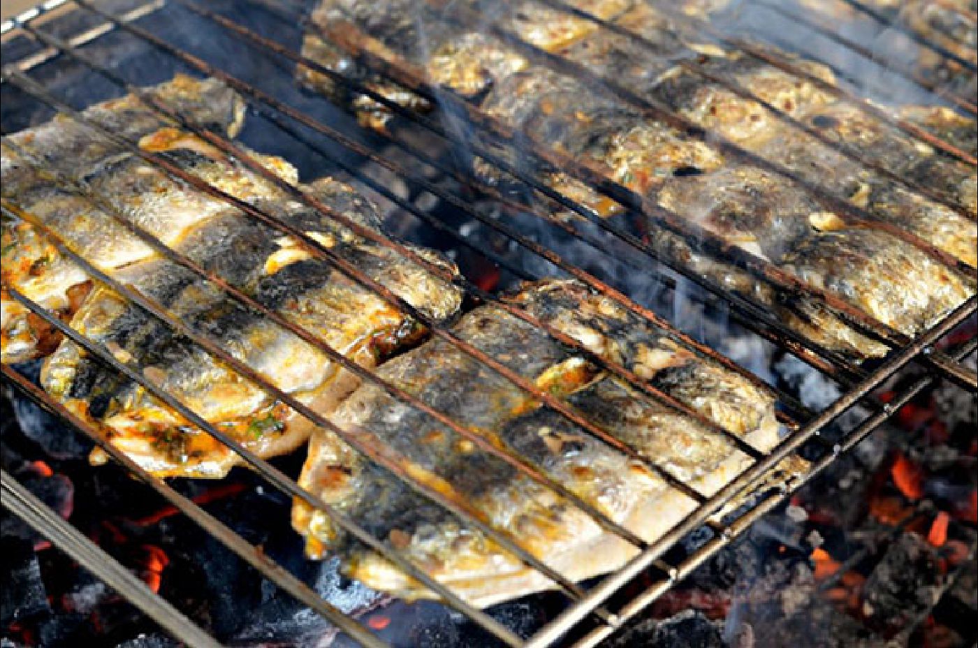 Welcome to Moroccan Fish Recipes